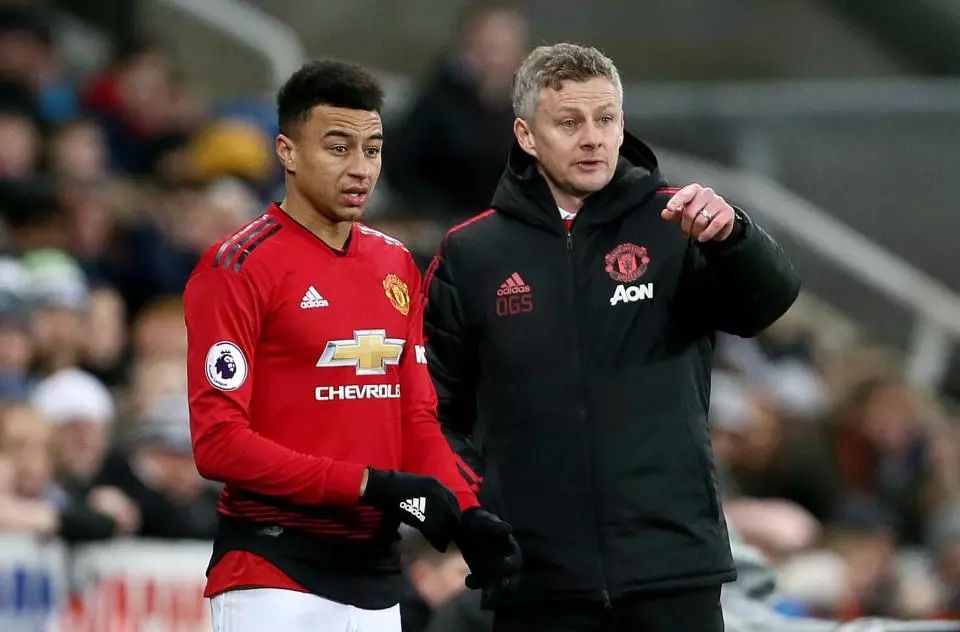 也奠定了他 也奠定了他